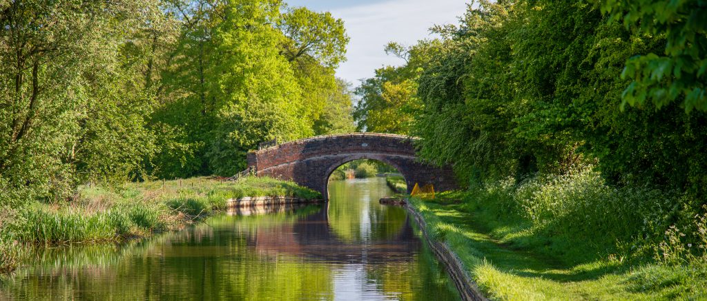 A bridge over a canal with trees