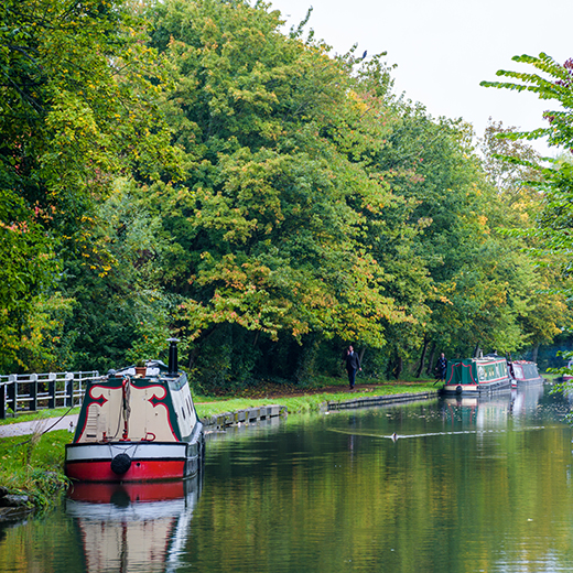 Canal boats in a canal with trees